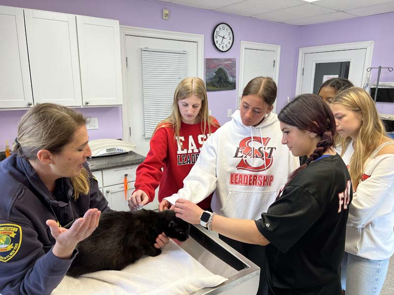 high school students and animal shelter