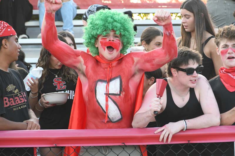 fan cheering