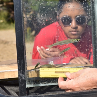 student looking through glass