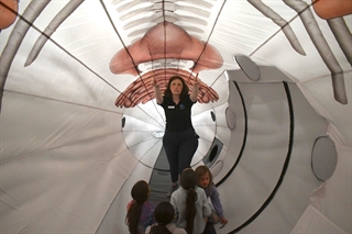 teacher teaching inside whale