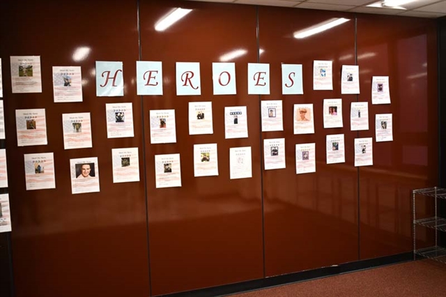 Wall of Collages
