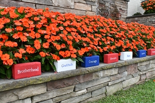 memorial bricks and flowers