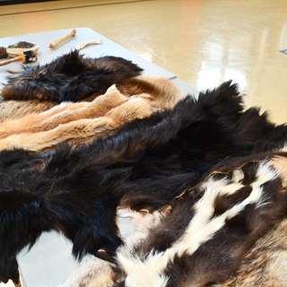Native American artifacts