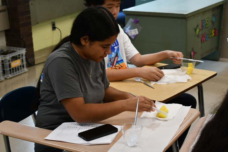 students working