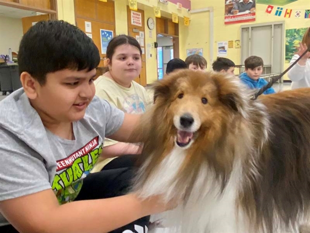 Jesse the therapy dog with kids