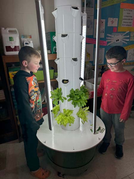 Students looking at hydroponic garden