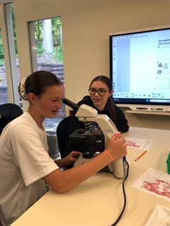 Students working