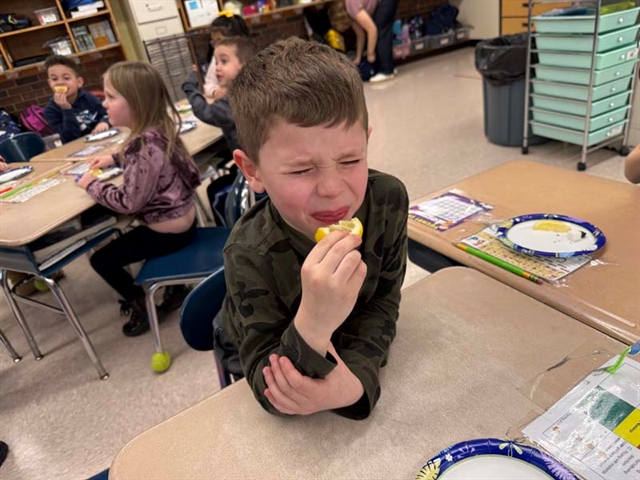 Student tasting a lemon