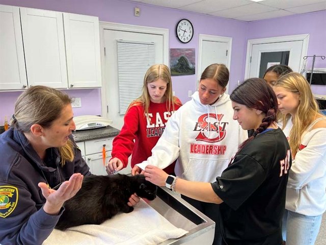 high school students and animal shelter