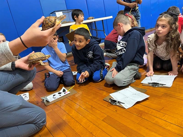 kids looking at insects