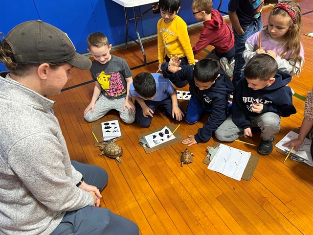 kids looking at a turtle