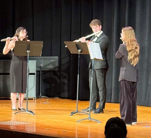 Concert ensemble