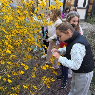 garden club