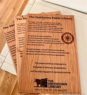 Plaques