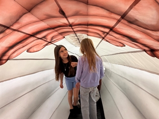 students inside whale