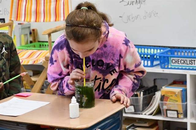 students studying plants
