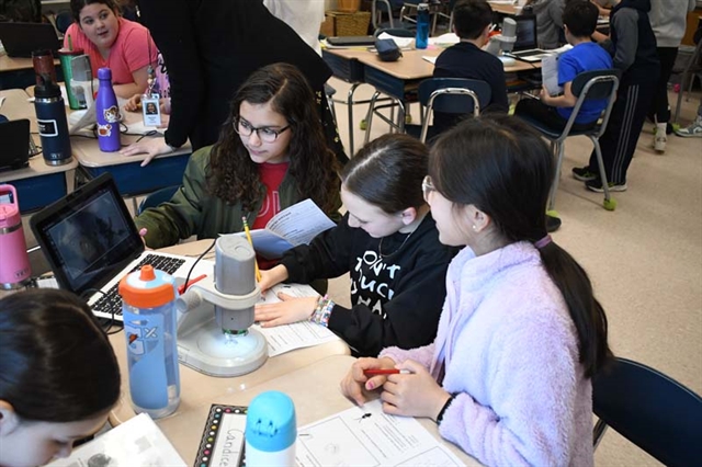 students studying plants