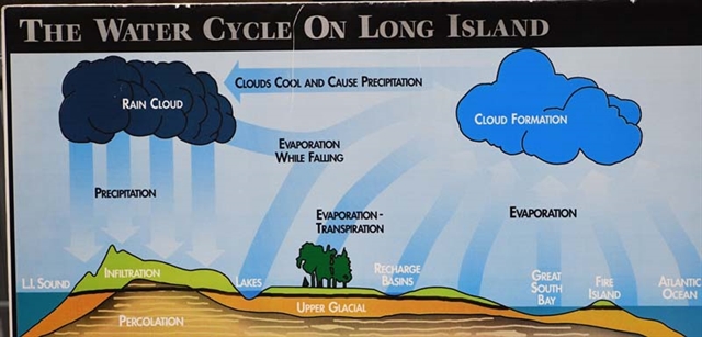 water cycle picture