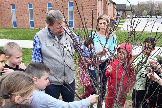 Group looking at tree