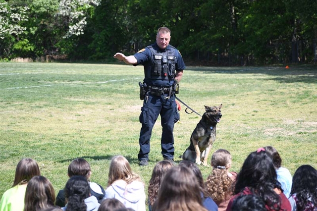 police officer and k9