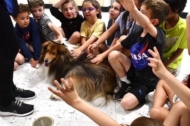 therapy dog with students