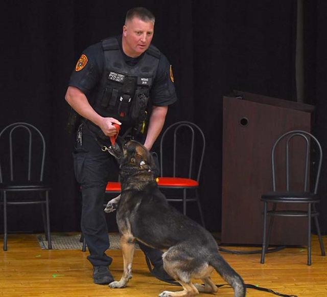 Officer and police dog