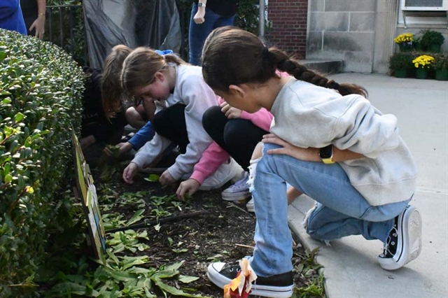 students doing a yard cleanup