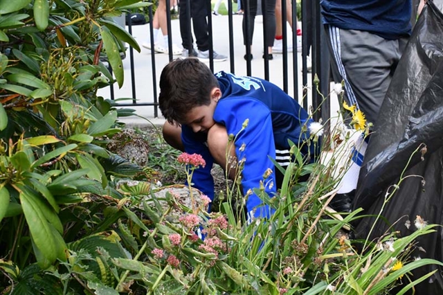 student doing a yard cleanup