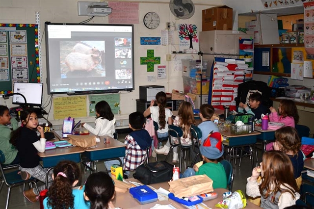 Accompsett Elementary students at virtual author visit