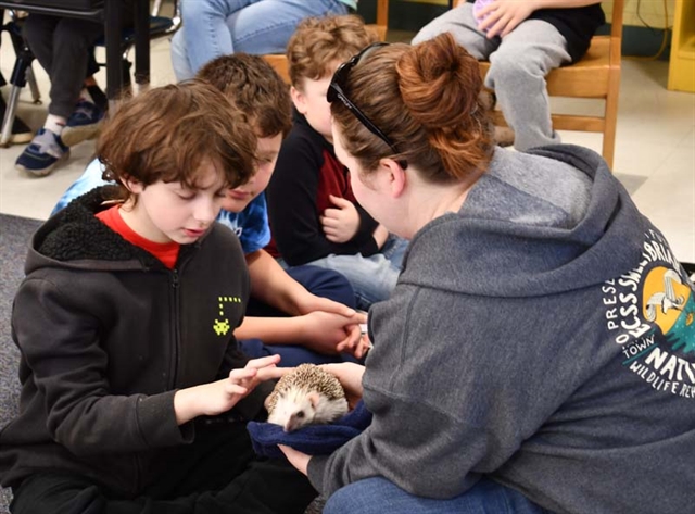 hedgehog with students