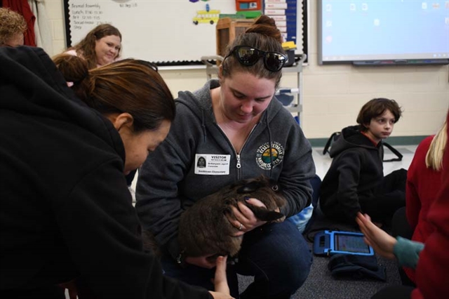 bunny rabbit with students