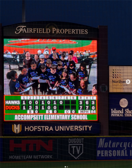 Ducks on big screen
