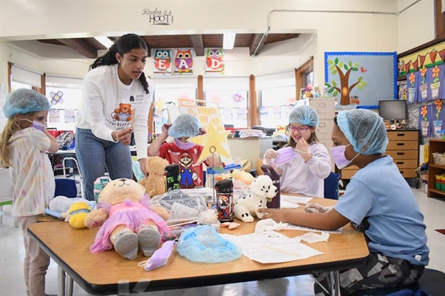 students examining their teddy bears