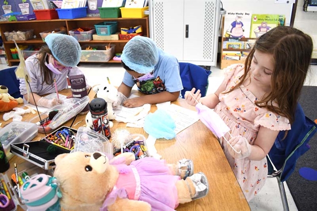 students examining their teddy bears