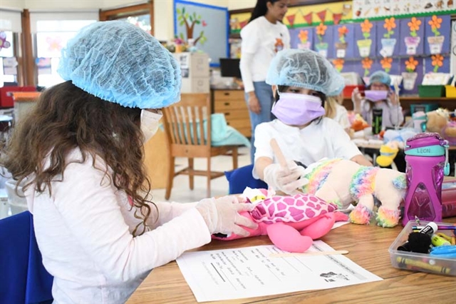 students examining their teddy bears