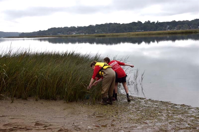 HSE students on beach