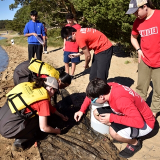 Students working on a beach