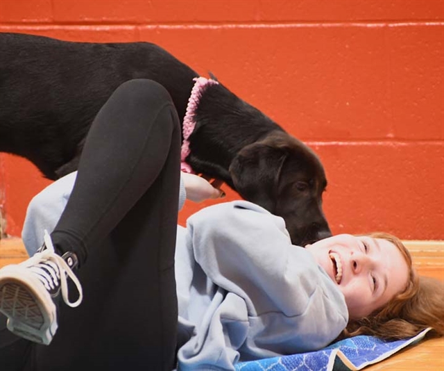 Puppy Yoga at HSE