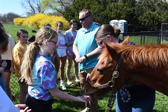 A pony at Nesaquake