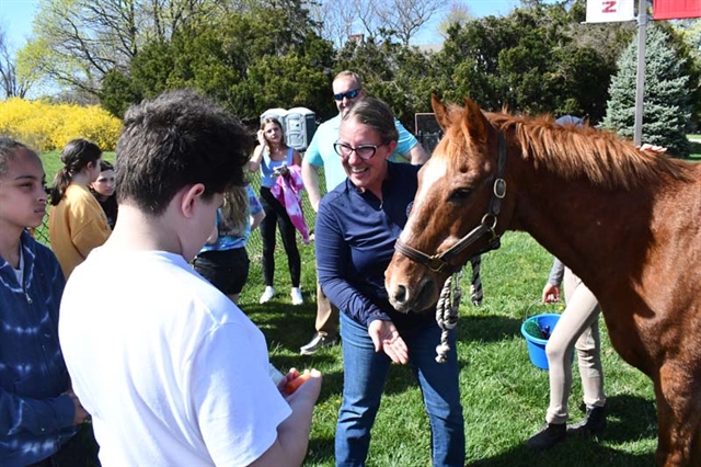 A pony at Nesaquake