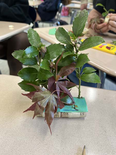 close up of a plant