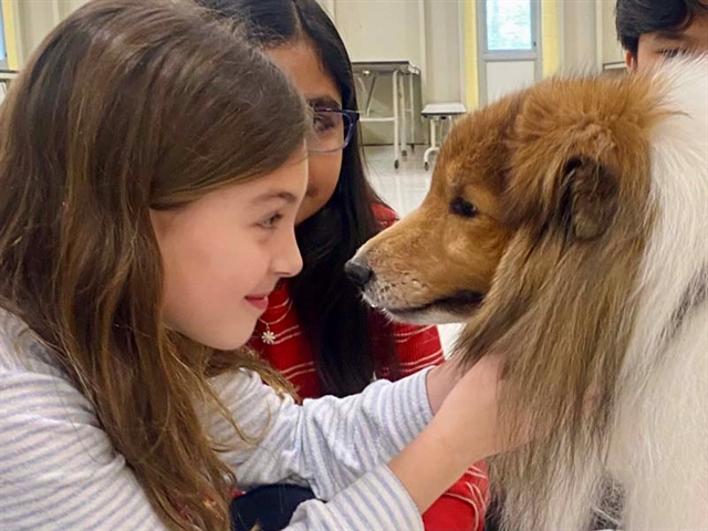 Jesse the therapy dog with kids