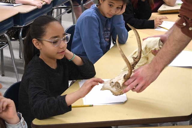 students touching animal bones