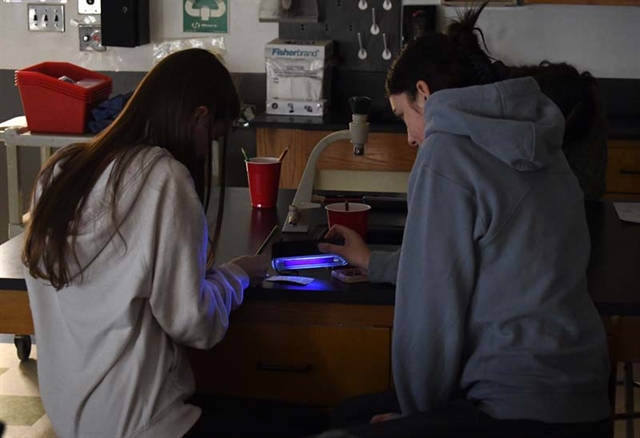 students conducting science study