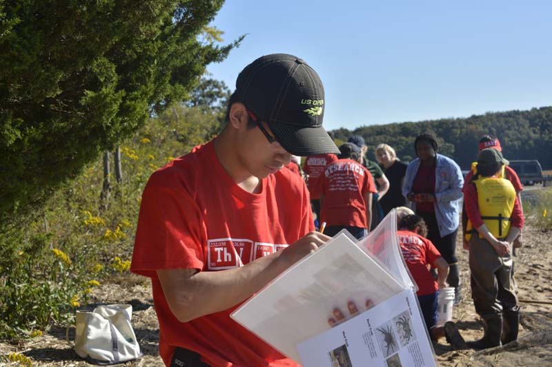 Student looks at map